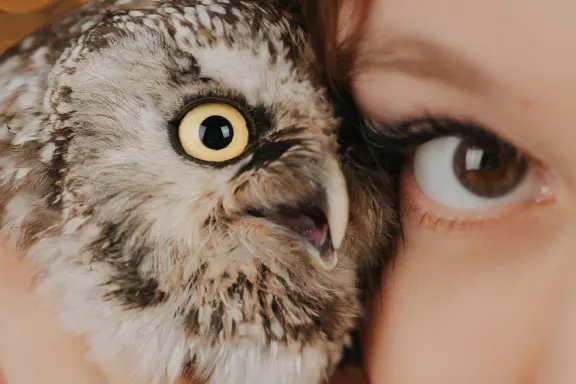 Casino AllStar Slots Assistance